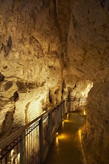 Images Dated 27th April 2007: Ruakuri Caves, Waitomo, King Country, North Island, New Zealand