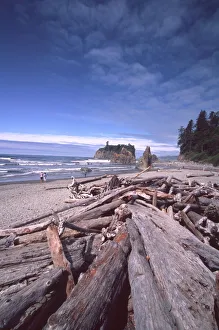Sea Stack Prints: Ruby Beach Driftwood and Sea Stacks, Olympic National Park; Washington; US