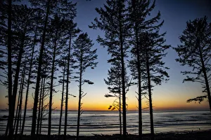 Images Dated 2021 July: Ruby Beach, Forks, Washington State, USA. Olympic National Park