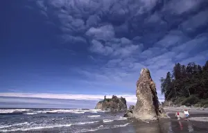 Images Dated 10th March 2009: Ruby Beach Sea Stacks, Olympic National Park; Washington; US
