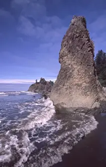 Images Dated 10th March 2009: Ruby Beach Sea Stacks, Olympic National Park; Washington; US