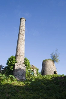 Ruins of the Alexander Hamilton Estate Plantation