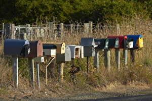 Roadside Prints: Rural Letterboxes, Otakou, Otago Peninsula, Dunedin, South Island, New Zealand