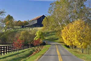 Lexington Prints: Rural road through