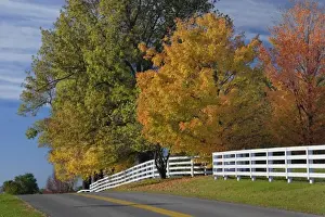 Roadway Prints: Rural road through Bluegrass region of Kentucky in autumn season near Lexington, Kentucky