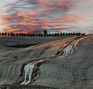 Images Dated 22nd September 2010: Rural road and harvested fields at sunset, San Quirico d Orcia, Tuscany, Italy