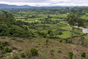 Uganda Collection: Rural scene near Bwindi Impenetrable Forest. Uganda