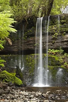 Absence Prints: Russell Falls