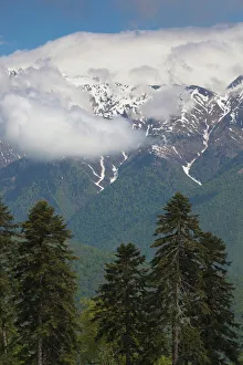 Kavkaz Prints: Russia, Caucasus Mountains, Sochi Area