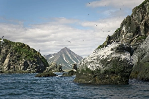 Images Dated 25th January 2010: Russia, Kamchatka Peninsula, Russian Far East, Sea of Okhotsk, Vasilieva islands