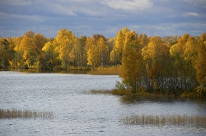 Images Dated 7th October 2008: Russia, Karelia, Lake Onega shoreline, RESTRICTED: Not available for use by any River