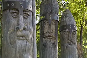 Images Dated 30th June 2009: Russia, Murmansk, Lesnaya. Popular natural forest along the Tuloma River used for camping