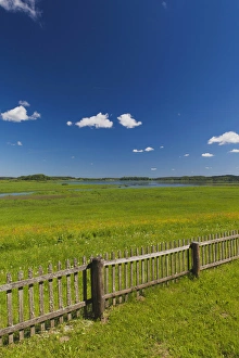 Images Dated 5th June 2011: Russia, Pskovskaya Oblast, Pushkinskie Gory, landcape at Mikhailovskoye, the Alexander