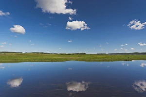 Images Dated 5th June 2011: Russia, Pskovskaya Oblast, Pushkinskie Gory, landcape at Mikhailovskoye, the Alexander