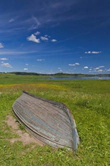 Images Dated 5th June 2011: Russia, Pskovskaya Oblast, Pushkinskie Gory, landscape at Mikhailovskoye, the Alexander