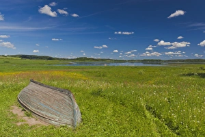 Images Dated 5th June 2011: Russia, Pskovskaya Oblast, Pushkinskie Gory, landscape at Mikhailovskoye, the Alexander