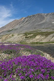 Mountainside Prints: Russia, Russian Far East, Chukotka Autonomous Okrug aka Chukotka. Senyavina Strait