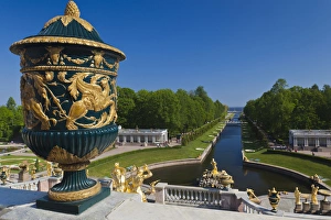 Images Dated 1st June 2011: Russia, Saint Petersburg, Peterhof, Grand Cascade fountains