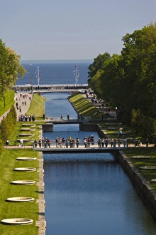 Images Dated 1st June 2011: Russia, Saint Petersburg, Peterhof, Grand Cascade fountains