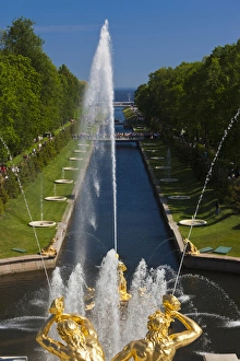 Images Dated 1st June 2011: Russia, Saint Petersburg, Peterhof, Grand Cascade fountains