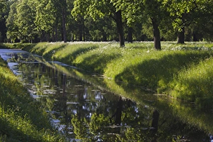 Images Dated 8th June 2011: Russia, Saint Petersburg, Pushkin-Tsarskoye Selo, palace grounds