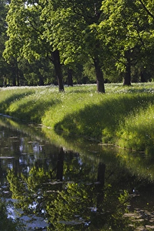 Images Dated 8th June 2011: Russia, Saint Petersburg, Pushkin-Tsarskoye Selo, palace grounds