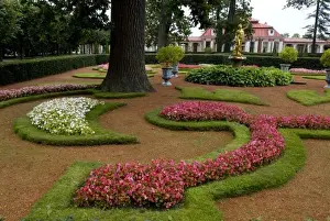 Images Dated 3rd September 2008: Russia, St. Petersburg, Peterhof Palace (aka Petrodvorets), palace garden
