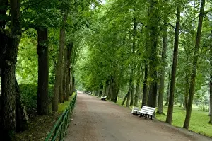 Walk Way Prints: Russia, St. Petersburg, Peterhof Palace (aka Petrodvorets), gardens