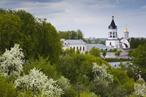 Russian Orthodox Prints: Russia, Vladimir Oblast, Golden Ring, Vladimir, Cathedral of Saint Dmitry