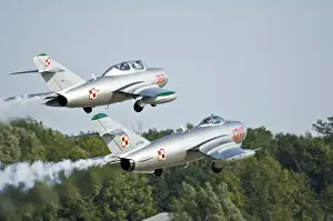 Air Plane Prints: Russian MIG 15 (top) and MIG 17 (bottom) with Polish markings at Oshkosh 2006