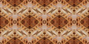 Montage Prints: Rusted metal abstract