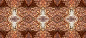 Montage Prints: Rusted metal abstract
