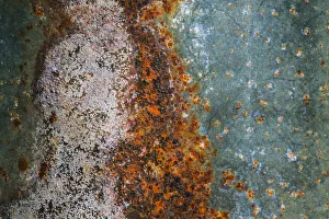 Images Dated 18th March 2019: Rusted metal, California