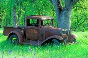 Editor's Picks: A rusting 1931 Ford pickup truck sitting in a field under an oak tree