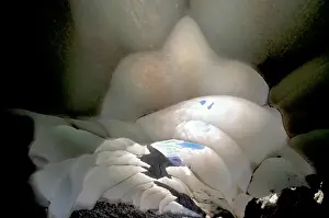 SA, Argentina, Los Glaciares NP Ice cave in Patagonian icecap