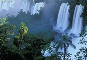 Parana Prints: SA, Brazil, Parana State; Iguacu NP, Iguacu Falls