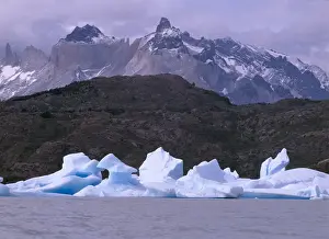 Terra Cotta Prints: SA, Chile, Patagonia, Torres del Paine NP Lago Gray (Gray Lake)