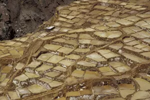 SA, Peru, Urubamba Valley Salt pans of Maras, dating from Inca times