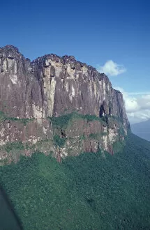 Images Dated 5th January 2005: SA, Venezuela, Angel Falls area, rainforest