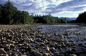 Images Dated 20th April 2004: Saco River. The Cohos Trail begins along the banks of the Saco River. White Mountain N