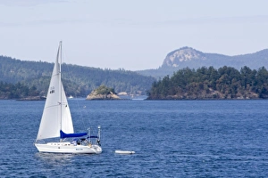 Water Craft Prints: Sailboat in Puget Sound and the San Juan Islands in Washington