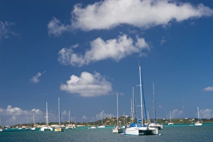 Saint Martin Prints: Sailboats in the harbor in Marigot, St. Martin