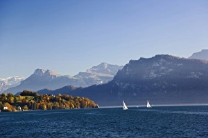 Luzern Prints: Sailboats on Lake Lucerne and autumn colors, Lucerne, Switzerland