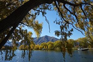 Willow Prints: Sailors Cutting in autumn, Lake Benmore, Waitaki Valley, North Otago, South Island