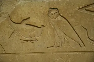 Cairo Prints: Sakkara Pyamids on the Giza Plateau just outside of Cairo doorway and visual artwork in stone