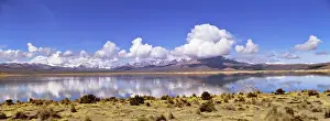 South American Prints: Salar de Surire (app 4300m) a heavy thunderstorm is building up during noon in the rainy season