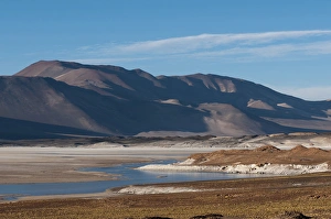 Images Dated 18th June 2010: Salar de Talar, Atacama Desert, Chile