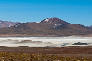 Images Dated 18th June 2010: Salar de Talar, Atacama Desert, Chile