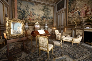 Furniture Prints: Salon des Tapisseries in Musee Jacquemart Andre. Paris. France