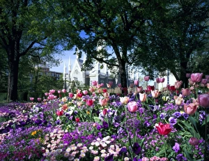 Images Dated 30th July 2007: SALT LAKE CITY, UTAH. USA. Flowers in Temple Square. Assembly Hall in distance. Wasatch Front